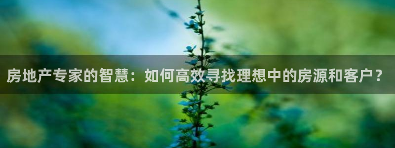 新宝5 测速：房地产专家的智慧：如何高效寻找理想中的房源和客