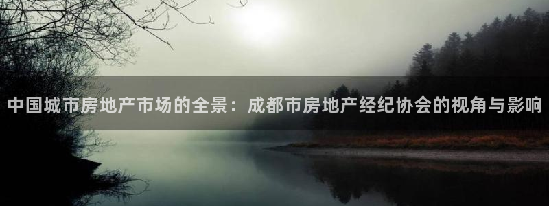 新宝5唯一：中国城市房地产市场的全景：成都市房地产经纪协会的