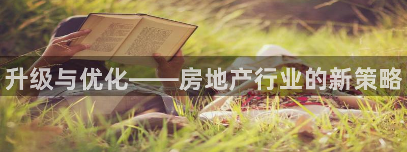 新宝5官网霸：升级与优化——房地产行业的新策略