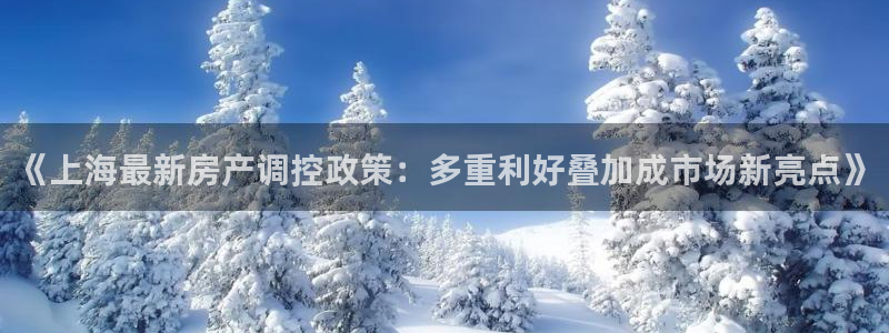 新宝5现在还能玩吗：《上海最新房产调控政策：多重利好叠加成市