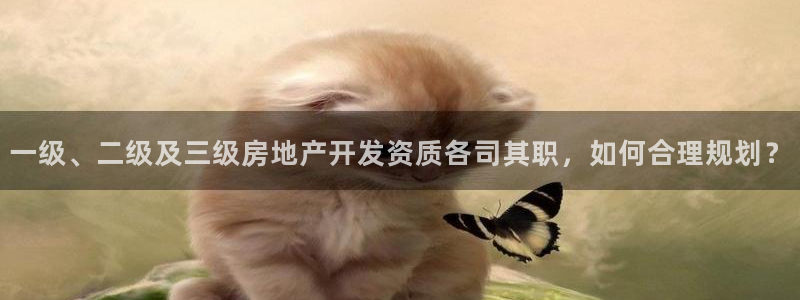 新宝5授权：一级、二级及三级房地产开发资质各司其职，如何合理
