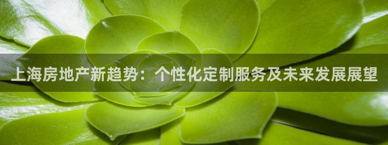 新宝cR一5：上海房地产新趋势：个性化定制服务及未来发展展望