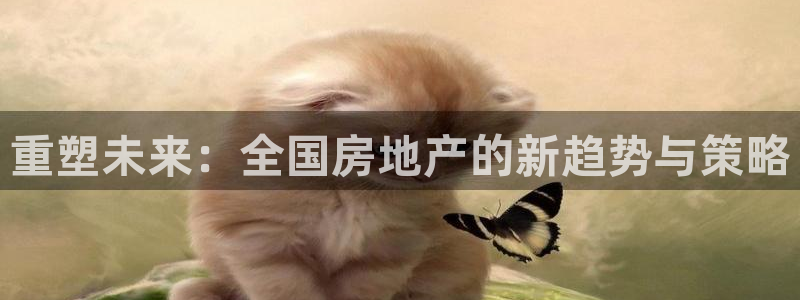 新宝5登陆：重塑未来：全国房地产的新趋势与策略