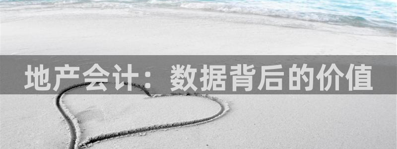新宝5手机版：地产会计：数据背后的价值