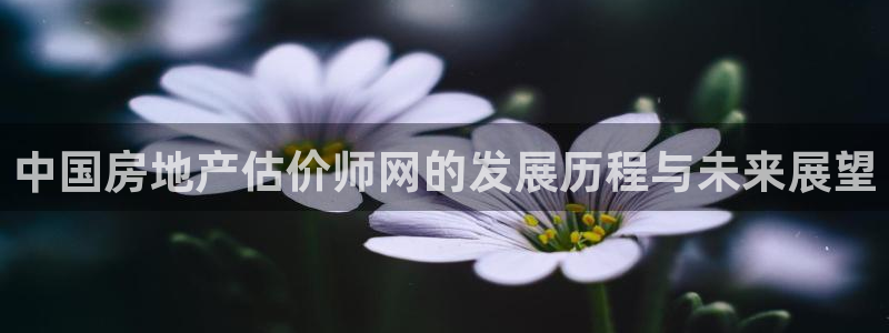 新宝5娱乐都：中国房地产估价师网的发展历程与未来展望