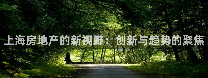 新宝5现在还能玩吗：上海房地产的新视野：创新与趋势的聚焦
