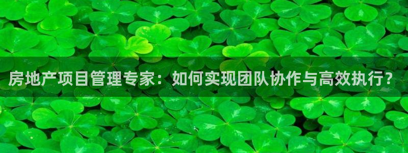 新宝5娱乐手机登录：房地产项目管理专家：如何实现团队协作与高