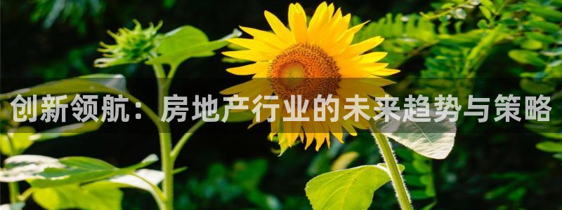 新宝5娱乐平台：创新领航：房地产行业的未来趋势与策略