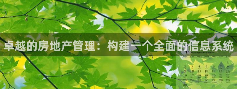 新宝5苹果手机下载：卓越的房地产管理：构建一个全面的信息系统