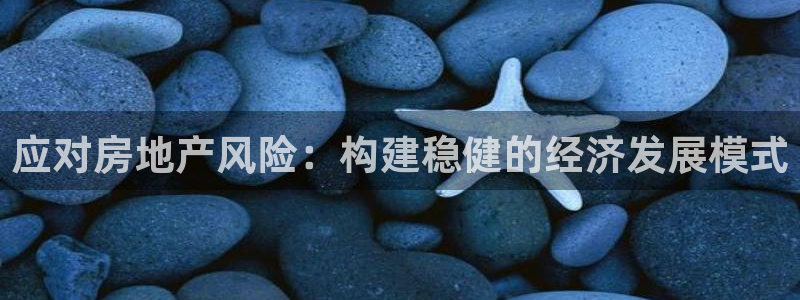 新宝5娱乐家：应对房地产风险：构建稳健的经济发展模式