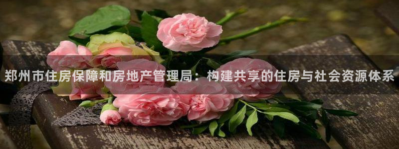 新宝5娱乐然：郑州市住房保障和房地产管理局：构建共享的住房与