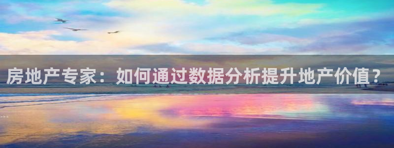 新宝5娱乐多：房地产专家：如何通过数据分析提升地产价值？