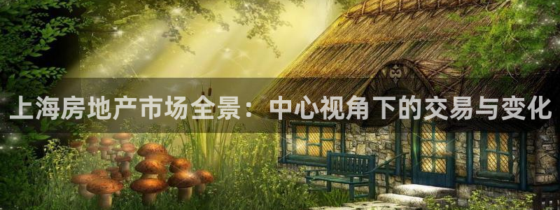 新宝5 - 测速登陆：上海房地产市场全景：中心视角下的交易与