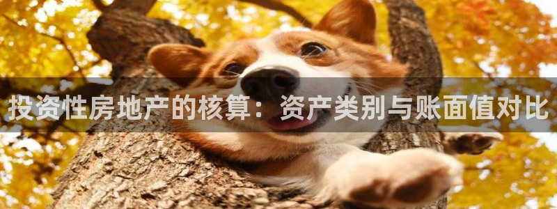新宝5天：投资性房地产的核算：资产类别与账面值对比