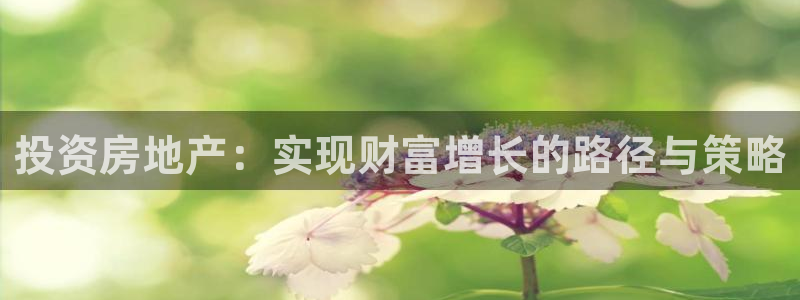新宝5官网app：投资房地产：实现财富增长的路径与策略