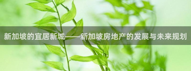 新宝rm5：新加坡的宜居新城——新加坡房地产的发展与未来规划