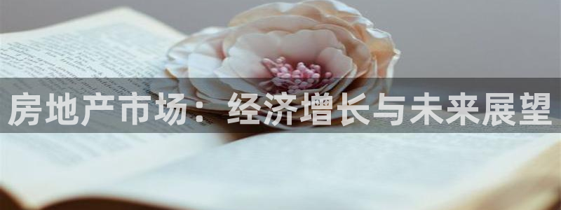 新宝5登录测速中心：房地产市场：经济增长与未来展望