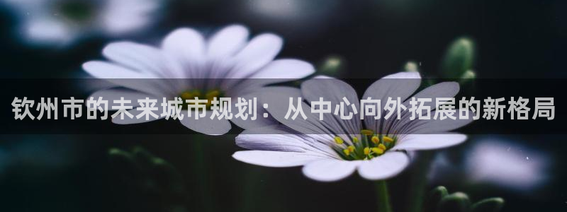 新宝5开好：钦州市的未来城市规划：从中心向外拓展的新格局