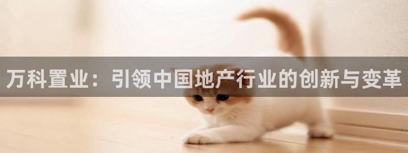 新宝5下载 迅雷下载：万科置业：引领中国地产行业的创新与变革