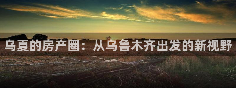 新宝那2O5O5O：乌夏的房产圈：从乌鲁木齐出发的新视野