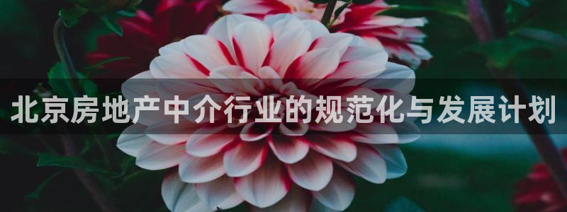 新宝5 888：北京房地产中介行业的规范化与发展计划
