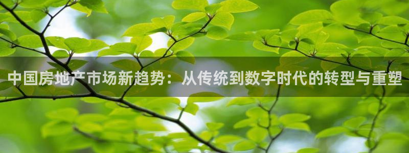 新宝5招商222111：中国房地产市场新趋势：从传统到数字时