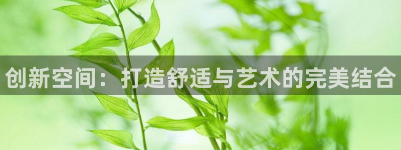 新宝5是什么样子的：创新空间：打造舒适与艺术的完美结合