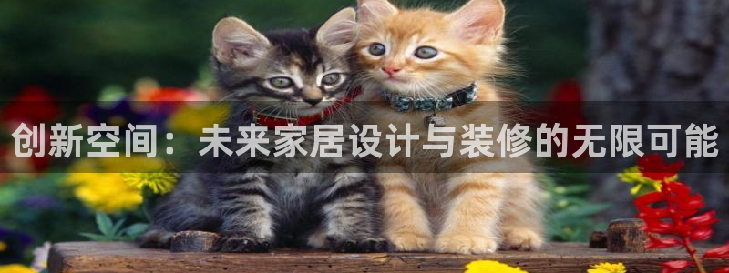 新宝5招商222111：创新空间：未来家居设计与装修的无限可