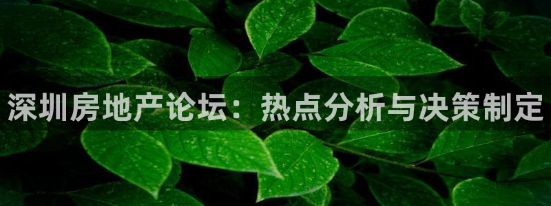 新宝5娱乐平台：深圳房地产论坛：热点分析与决策制定