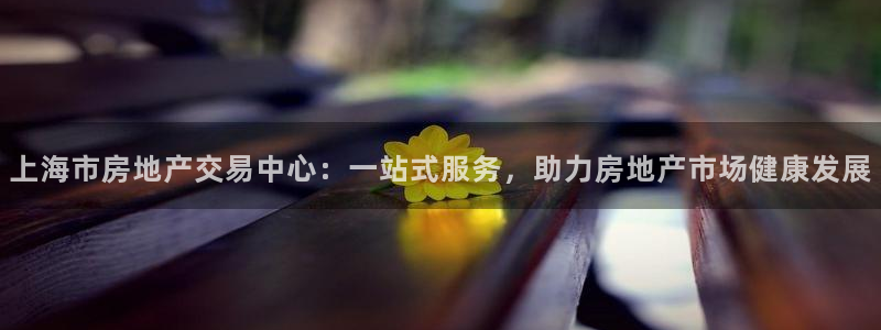 新宝5策略：上海市房地产交易中心：一站式服务，助力房地产市场