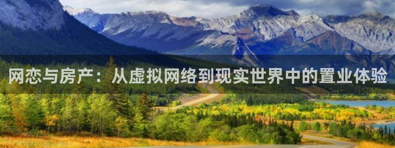 新宝5X：网恋与房产：从虚拟网络到现实世界中的置业体验