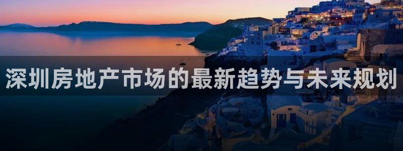 新宝股东瞧听2 5 5：深圳房地产市场的最新趋势与未来规划