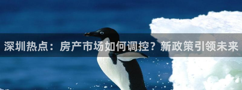 新宝5挂机软件：深圳热点：房产市场如何调控？新政策引领未来