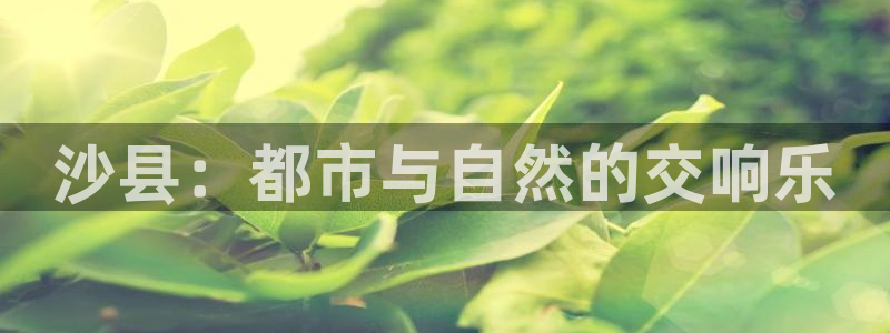新宝5下载：沙县：都市与自然的交响乐