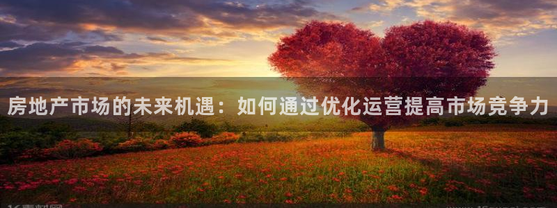 新宝5娱乐平台：房地产市场的未来机遇：如何通过优化运营提高市