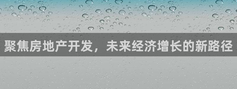 新宝5内部：聚焦房地产开发，未来经济增长的新路径