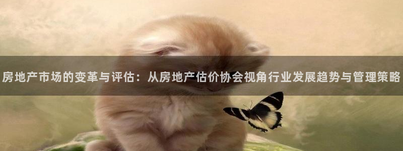 新宝5得74OOO5：房地产市场的变革与评估：从房地产估价协