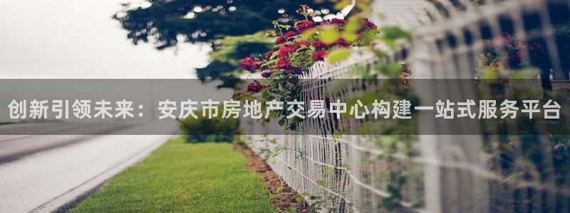新宝5寂创33300散：创新引领未来：安庆市房地产交易中心构