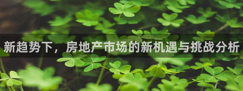 新宝5彩票平台登陆：新趋势下，房地产市场的新机遇与挑战分析