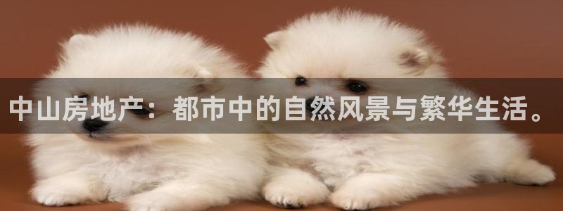 新宝5测速在线：中山房地产：都市中的自然风景与繁华生活。