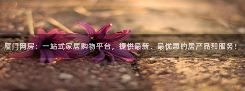 新宝5黑：厦门网房：一站式家居购物平台，提供最新、最优惠的居