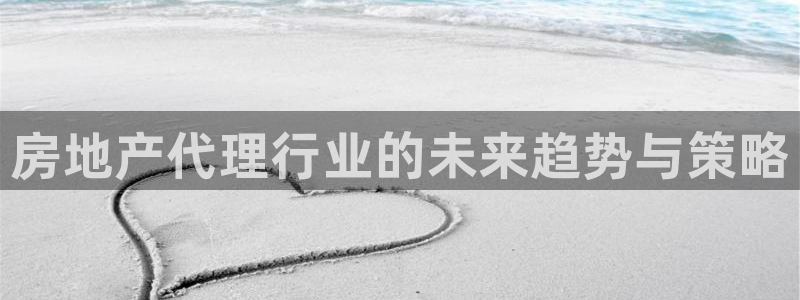 新宝5户端：房地产代理行业的未来趋势与策略