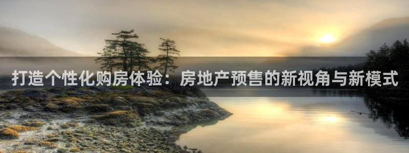 新宝5培训：打造个性化购房体验：房地产预售的新视角与新模式