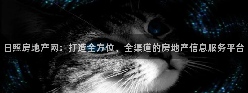 新宝5总代：日照房地产网：打造全方位、全渠道的房地产信息服务