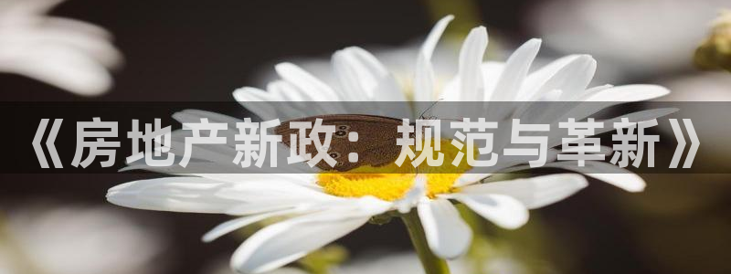 新宝5直属：《房地产新政：规范与革新》