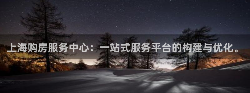 新宝5手机平台登陆：上海购房服务中心：一站式服务平台的构建与