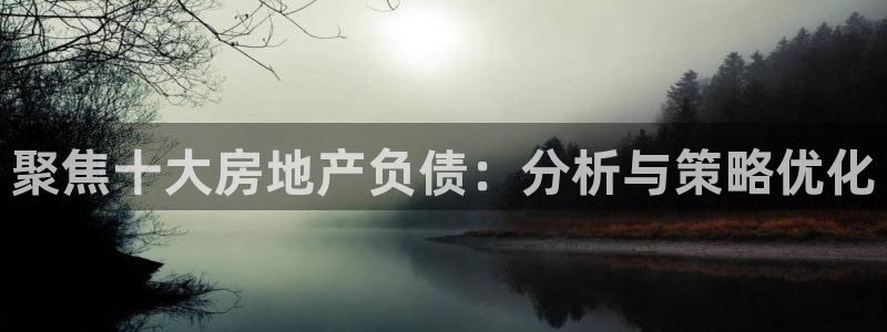 新宝5尤74OOO5：聚焦十大房地产负债：分析与策略优化