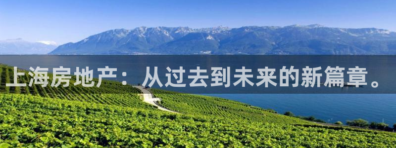 新宝5代理：上海房地产：从过去到未来的新篇章。