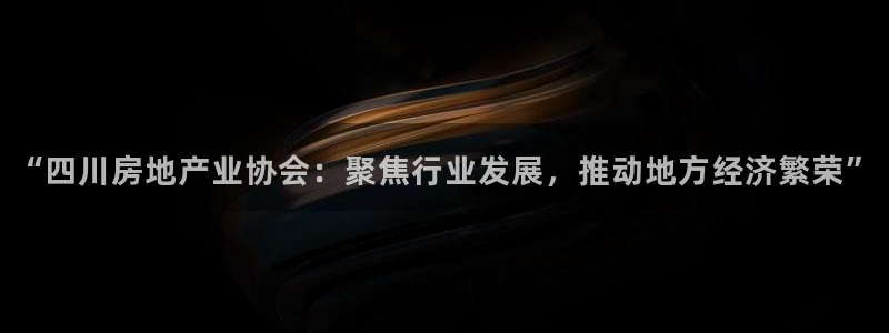 新宝5球维33 300：“四川房地产业协会：聚焦行业发展，推