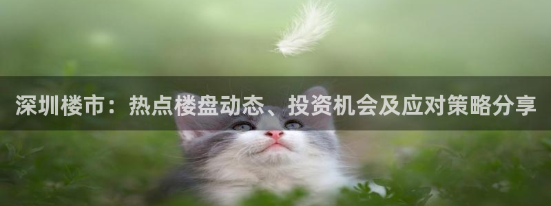 新宝5测速平台登录：深圳楼市：热点楼盘动态、投资机会及应对策